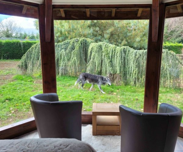 20211026_135914-site-1024x768